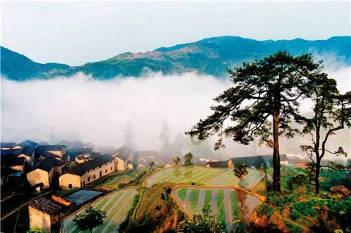 孟官社区：植绿爱绿护绿　共建美丽乡村