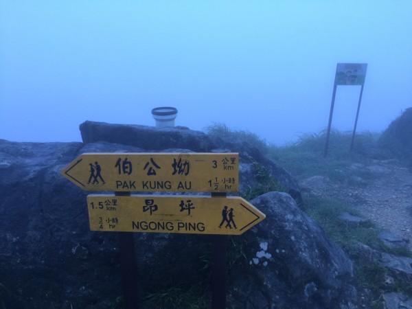 沪江开心词场
