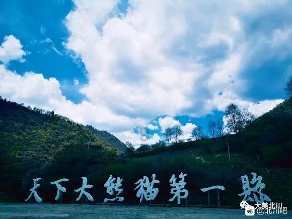 杯装封杯机不加热了怎么办?游戏画面