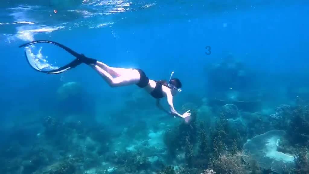 海军蓝