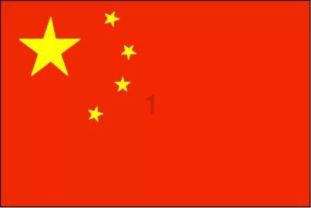 逃离金刚鹦鹉森林