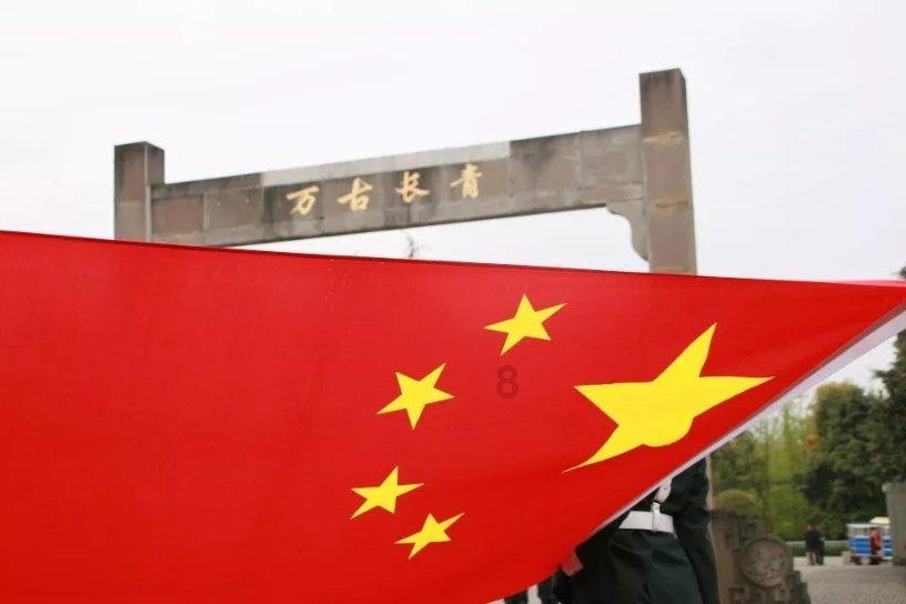 会玩!公司便利店上新“共享猫咪”,扫码吸猫人不停,猫懵了……