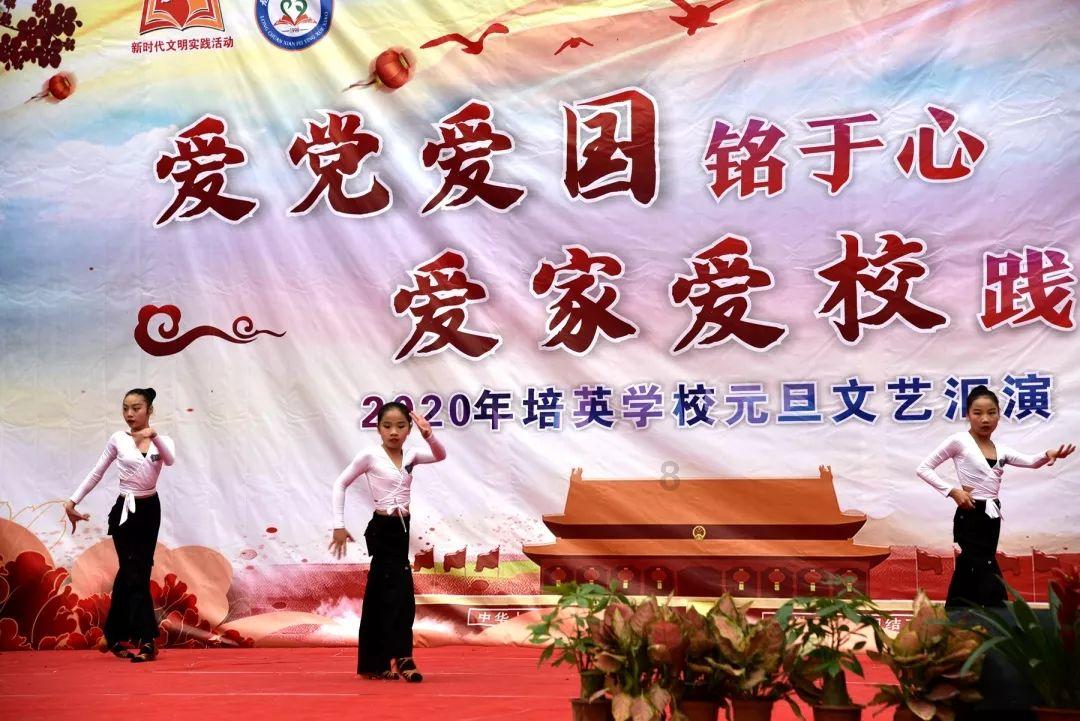 动物帮帮忙保卫家园