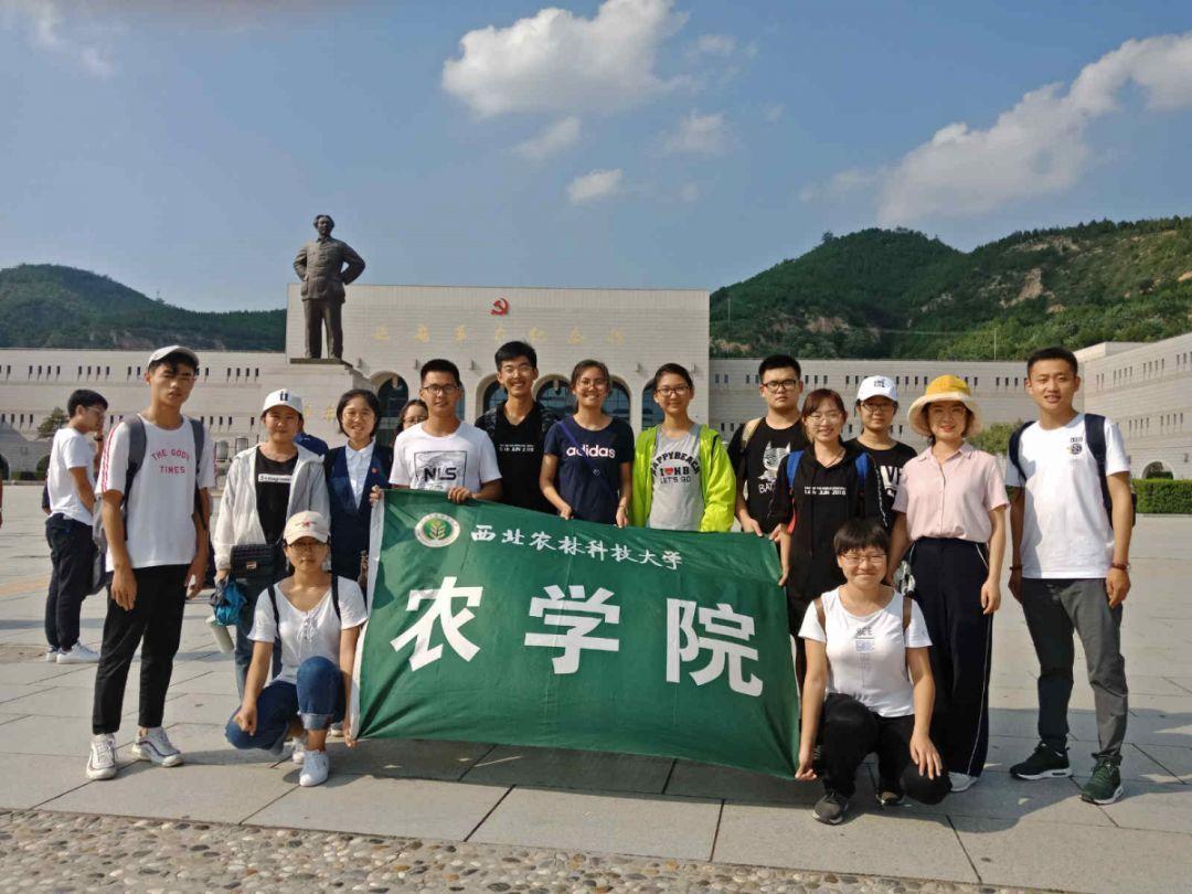 新春迎“福”!《新千里江山图·清新福建》珍藏八闽风光