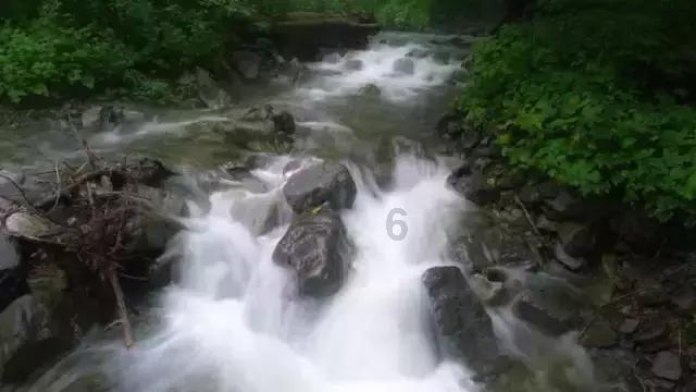 “龙行龘龘,前程朤朤”,九圣源医疗科技资本战略发布仪式盛大召开