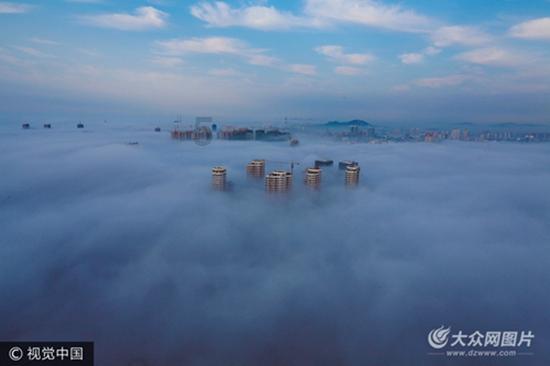 救援受困的火鸡